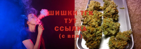 крисы Аркадак
