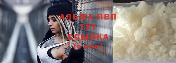 крисы Аркадак