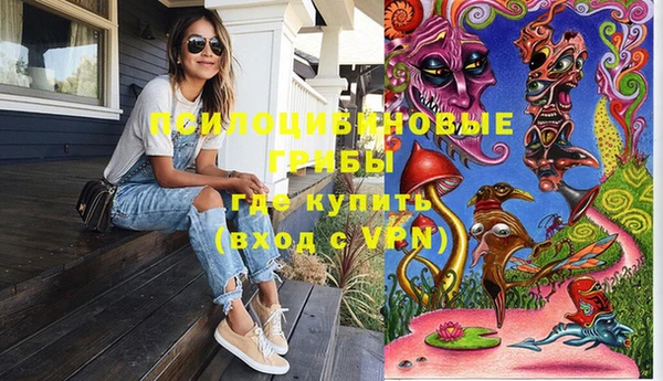 крисы Аркадак