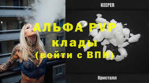 крисы Аркадак