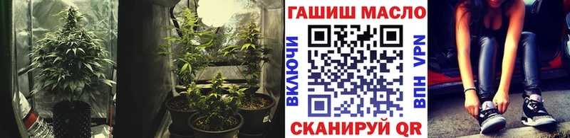 где можно купить   Кологрив  ТГК вейп 